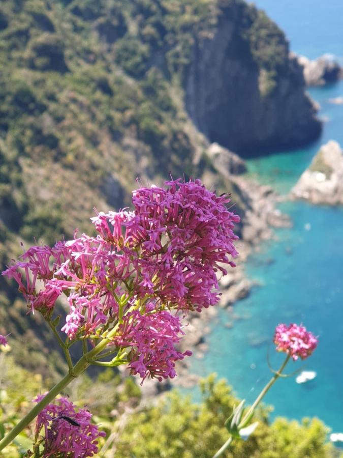 Il Mare In Casa Lejlighed Riomaggiore Eksteriør billede